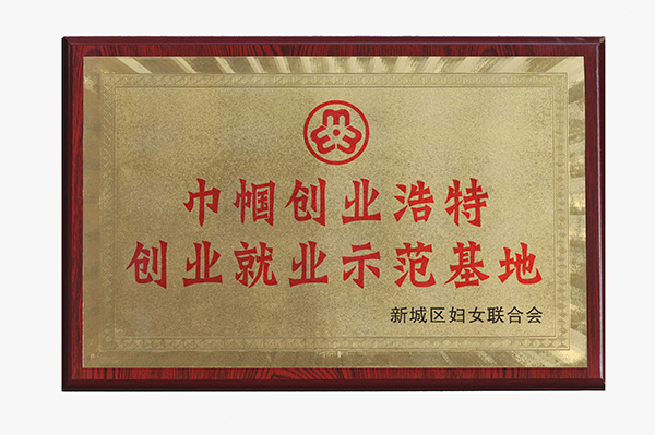 巾幗創(chuàng)業(yè)浩特創(chuàng)業(yè)就業(yè)示范基地