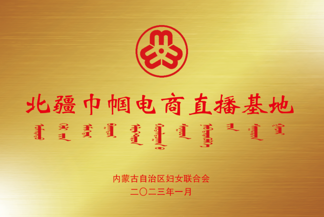 北疆巾幗電商直播基地