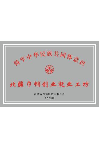 北疆巾幗創(chuàng)業(yè)就業(yè)工坊